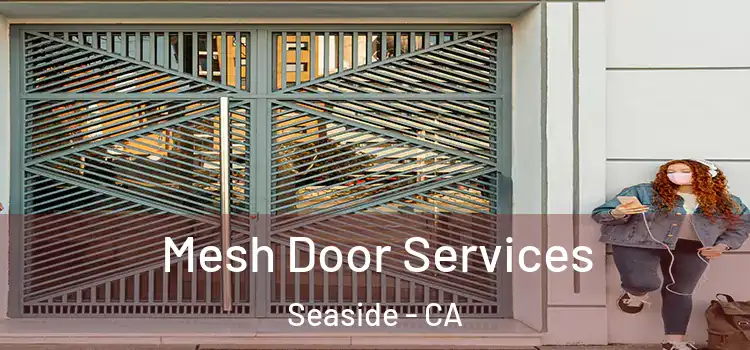 Mesh Door Services Seaside - CA
